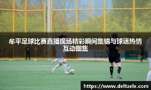 威廉希尔williamhill首页